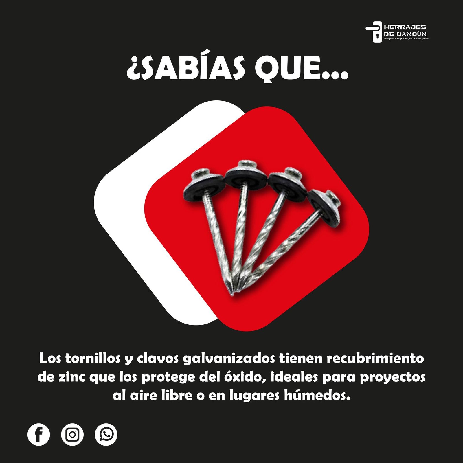 461726545 1045402267595174 2943516998892426534 n