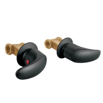 Juego de Manerales de Palanca para Regadera Negro Mate