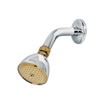 Regadera Cónica 2-1/2", Brazo y Chapetón, Cromo-Oro